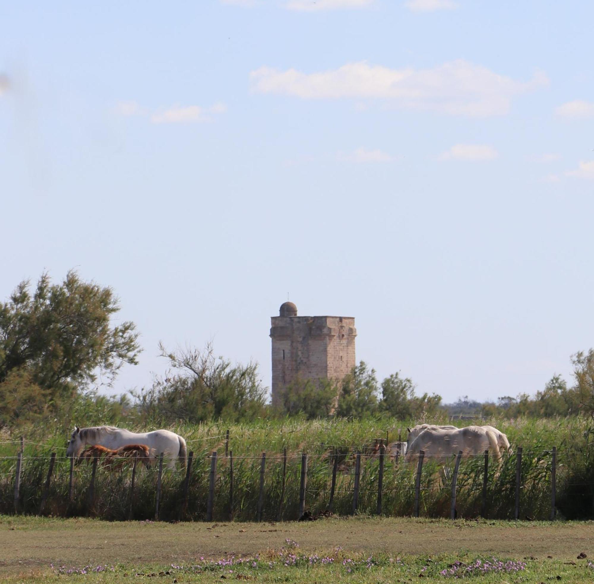 Le Mas Des Sables Aigues-Mortes Exterior photo